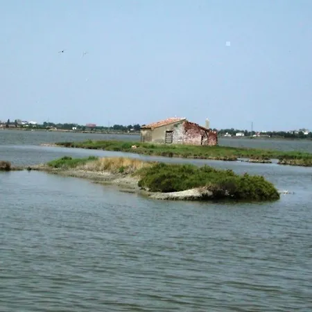 Ferienwohnung Fuer 6 Personen Ca 48 Qm In Lido Delle Nazioni, Adriakueste Italien Podelta - B61102 Appartamento